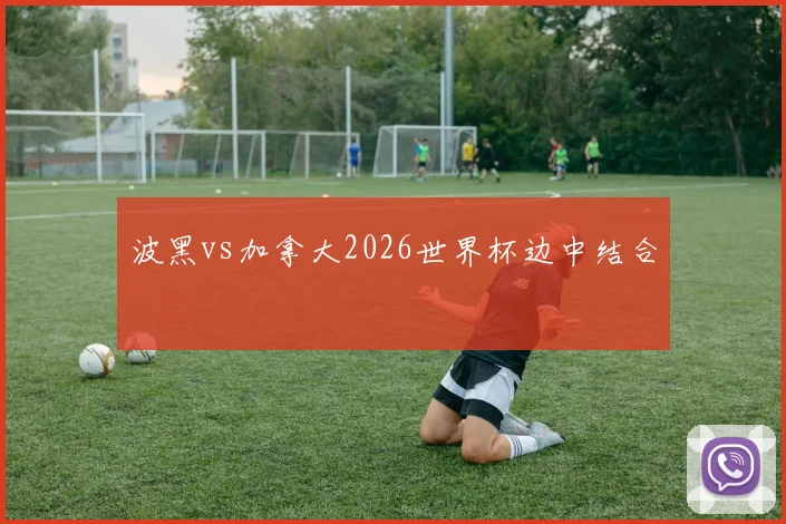 波黑vs加拿大2026世界杯边中结合