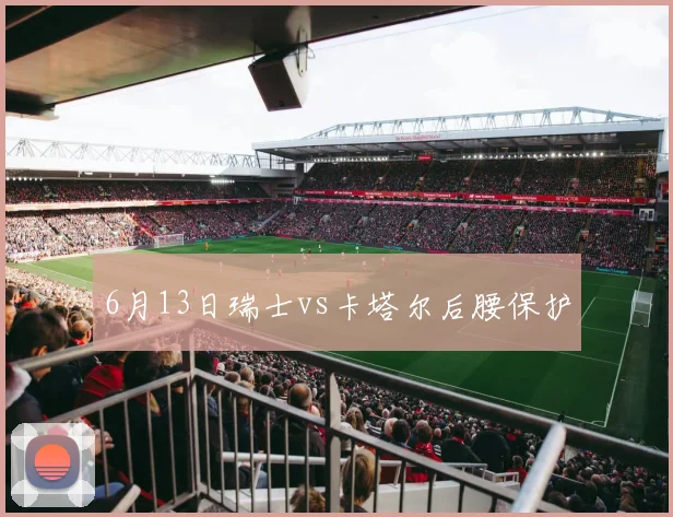 6月13日瑞士vs卡塔尔后腰保护