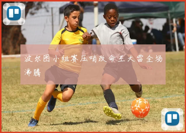 波尔图小组赛压哨改命王大雷全场沸腾