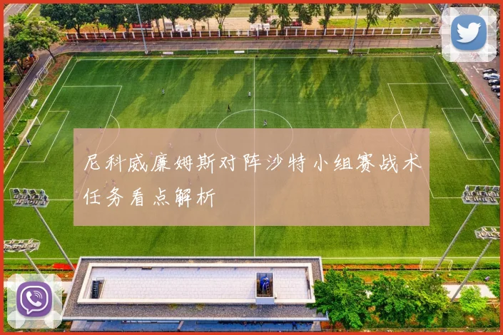 尼科威廉姆斯对阵沙特小组赛战术任务看点解析