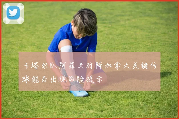 卡塔尔队阿菲夫对阵加拿大关键传球能否出现风险提示